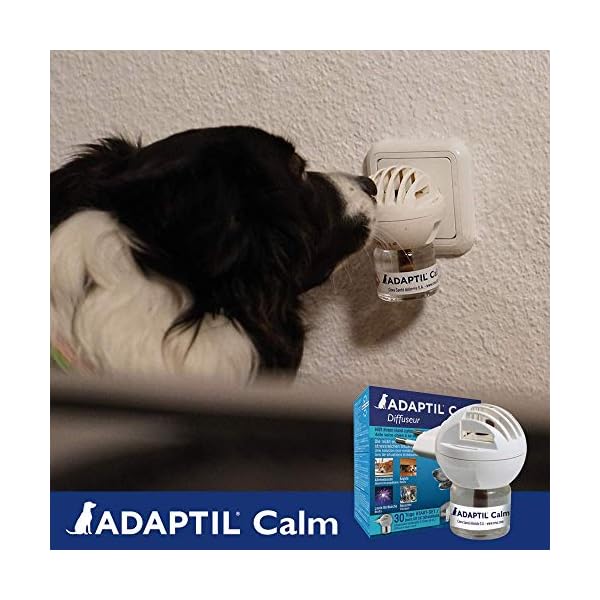 ADAPTIL-Calm-Home-30-Day-Starter-Kit-48ml ADAPTIL Calm Home Diffuser with 30 day refill - comfort, calming & anxious dog, anti-stress, White, 48 ml (Pack of 1)
