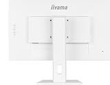 iiyama -W6 27" QHD IPS 100Hz Monitor HAS view 8