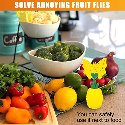 Heyouou Fruit Fly Traps with Sticky Pads, Fruit Flies Gnat Killer for