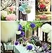 Fecedy™ 18pcs Tissue Paper Pom Poms Flower Ball for Wedding,Festival,Party Decoration (Blue)