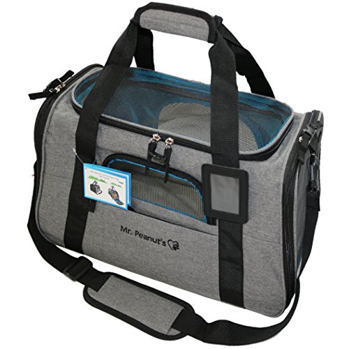 Softsided Cat Carrier