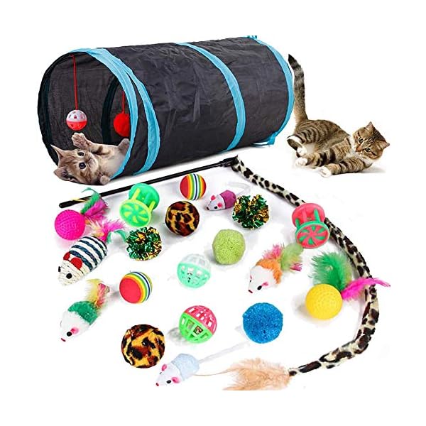 21-Pcs-Cat-Toys-for-Indoor-Cats-Collapsible-Cat-Tunnel-Interactive-Feather-Teaser-Wand-Ball-Toy-for-Kitten-Cats 21 Pcs Cat Toys for Indoor Cats Collapsible Cat Tunnel Interactive Feather Teaser Wand Ball Toy for Kitten Cats