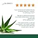 AUBREY GPB Balancing Protein Conditioner | Replenishes, Strengthens & Nourishes Damaged Hair | Aloe & Shea Butter | 75% Organic Ingredients | 16oz