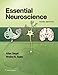 Essential Neuroscience