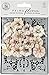 Prima Marketing Lavender Frost Mulberry Paper Flowers 15/Pkg-Garden Petals W/Stencil