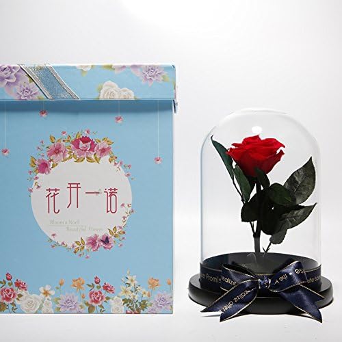 The rose gift box,Eternal flower glass or glass ornaments Flowers Artificial flowers Christmas day Decoration Send to your girl friend-G