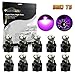 Partsam 10Pcs T5 73 74 Instrument Cluster Dash Shifter indicator LED Light Bulb Pink Purple 12V