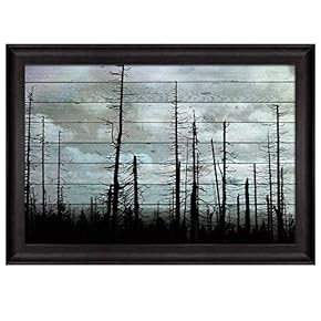 Silhouette of Trees on a Cloudy Day Over...