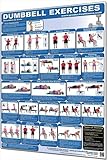 Productive Fitness Publishing Dumbbell Poster - Upper Body