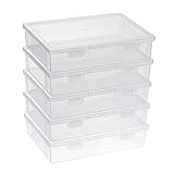 BTSKY Clear Plastic Storage Box with Flap