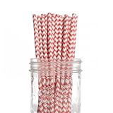 Dress My Cupcake 25-Pack Vintage Paper Straws, Coral Chevron