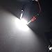 NAKOBO 561 Bulb 44mm Bright White Festoon LED Bulb, 20-SMD 4014 Rigid Loop 1.73