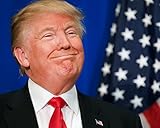 45th President of the USA - Donald Trump / The Donald 8 x 10 / 8x10 GLOSSY Photo Picture IMAGE #3