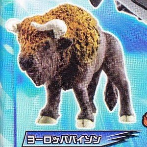 Beasts War Great Animal Kaiser God Beast Book 2 [7. European bison ¦ accessory card] (single)