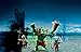 Playmobil Giant Troll with Dwarf Fighters Playset Building Kit