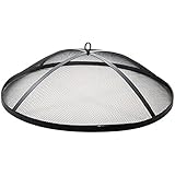 Black fireplace screen