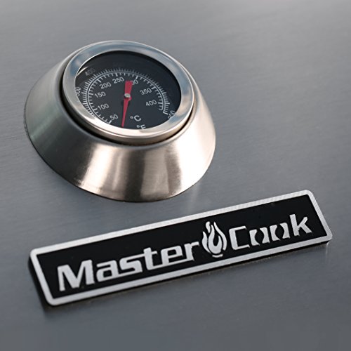MASTER COOK Professional 2-Burner Liquid Propane Gas Grill