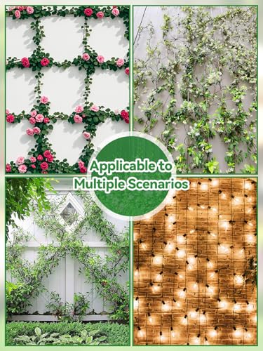 185-Piece Stainless Steel Trellis for Climbing Plants, Kalolary 30 M Stainless Steel High Performance Trellis Set Wall Climbing T316 Steel Wire Rope Cross Clamps Trellis System Set for Flowers Vines