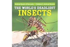 The World's Deadliest Insects - Animal Book of Records | Children's Animal Books