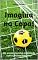 Livro Imagina na Copa!: Um evento mundial organizado com o jeitinho brasileiro