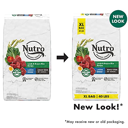nutro 40 lb bag