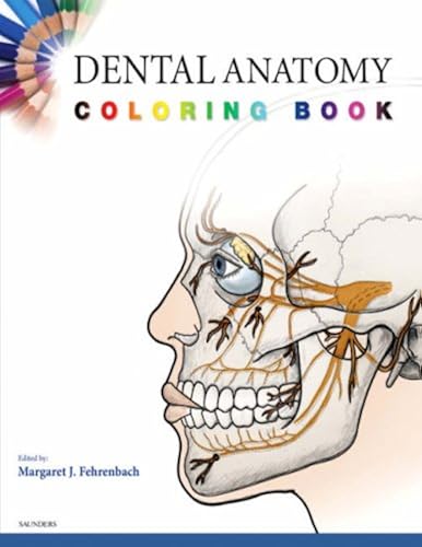 Download Dental Anatomy Coloring Book PDF