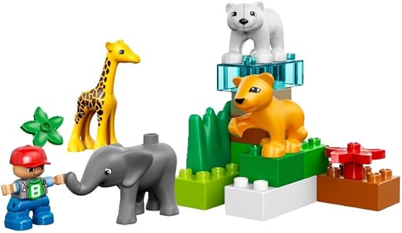 4962 duplo
