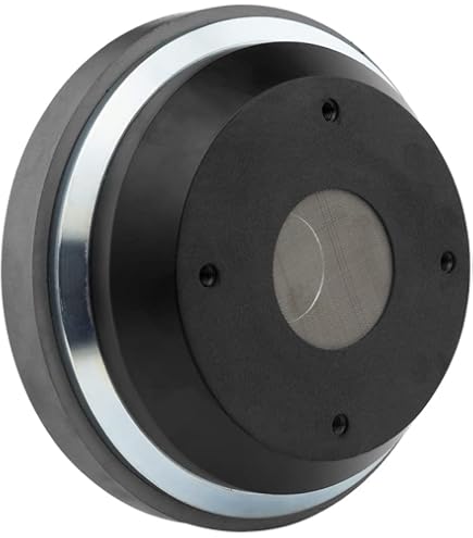 Amazon.com: DS18 PRO-DPL1 2