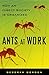 Ants At Work: How An Insect Society Is Organized