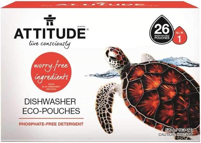 Best  eco dishwasher detergent