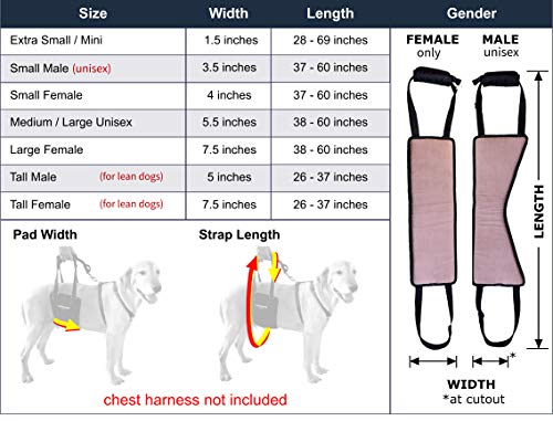 Coodeo Dog Lift Harness Pet Support Rehabilitation Sling Lift Adjustable Padded Breathable Straps For Old Disabled Joint Injuries Arthritis Loss Of Stability Dogs Walk Extra Small Pricepulse
