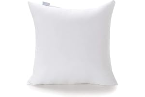 Acanva Premium Polyester Stuffer Square Form Sham Throw Pillow Inserts, 22X22 Inch（1 Count）, White