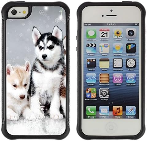SHIMIN CAO@ Husky Winter Dog Puppy Canine Rugged Hybrid Armor Slim Protection Case Cover Shell For iphone 5S CASE Cover ,iphone 5 5S case,iphone5S plus cover ,Cases for iphone 5 5S