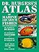 Dr. Burgess's Atlas of Marine Aquarium Fishes by Dr. Warren E. Burgess