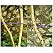 Travel Elastic Clothesline Yazer Portable Windproof Clothesline Rope with Adjustable Anti-Skid 12 Pcs Clothespin for Outdoor and Indoor (Purple)