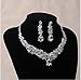 Wedding Bridal Teardrop Crystal Jewelry Sets for Women (1 Set Earrings,1 PCS Necklace)