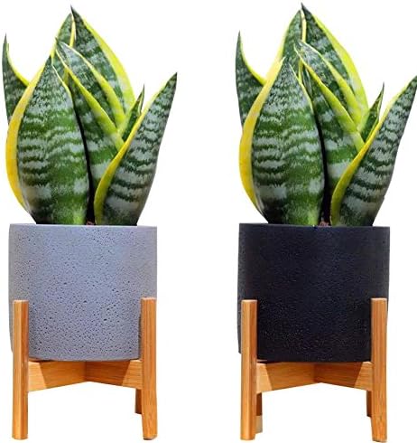Nordic Style Wooden Plant Pot Set - Living Room Bedroom Furniture Set - Solid Wood Floor Modern Simple Phyllostachys Pubescens Flower Pot, Black