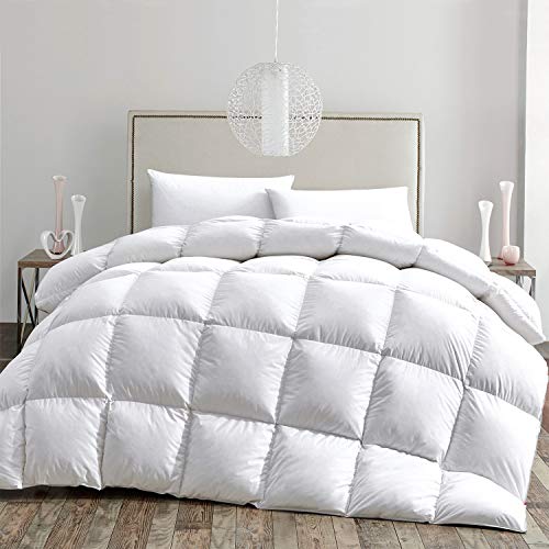 Amazon Com Hombys All Seasons Goose Down Comforter Queen Size