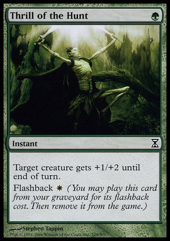 Magic: the Gathering - Thrill of the Hunt - Time Spiral - Foil