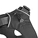 Ruffwear, Front Range Dog Harness, Reflective Soft Padded Everyday Harness with Dual Leash Clips, Adjustable and Lightweight Fit for Training or Walking for All Dogs, Twilight Gray, Large/X-Large