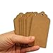 100 PCS Kraft Paper Gift Tags with String Blank Tags Vintage Wedding Favor Hang Tags with 66 Feet Natural Jute Twine Retangle Tags for Crafts