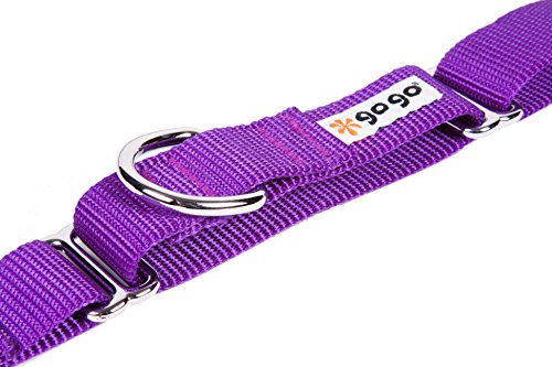 GoGo Pet Products GoGo 3/4-Inch Martingale Dog Collar, Medium, Purple