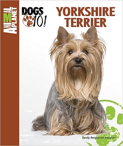 Yorkshire Terrier (Animal Planet Dogs 101) �����O���{  - 2011/8/31