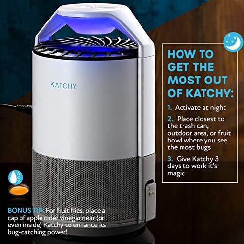 2 Original+Indoor+Insect+Trap+Non+Toxic