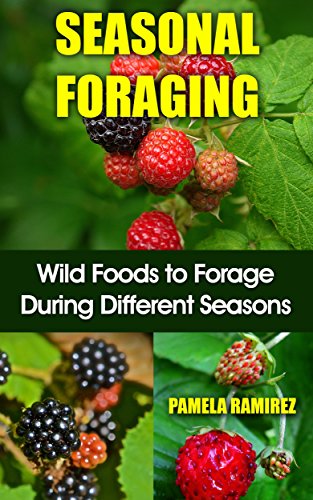 Seasonal Foraging: Wild Foods to Forage During Different Seasons by [Ramirez, Pamela]