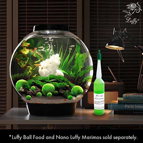 4 Luffy+Giant+Marimo+Moss+Balls