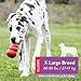 KONG Classic Stuffable Dog Toy - Fetch & Chew Toy for Dogs - Treat-Filling Capabilities & Erratic Bounce for Extended Play Time - Durable Natural Rubber Material - for Extra Large Dogs