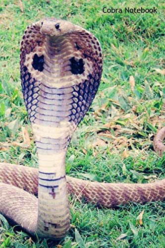 Cobra Notebook: Small lined Cobra notebook - Travel Journal to write in - 120 pages - 6"x9"