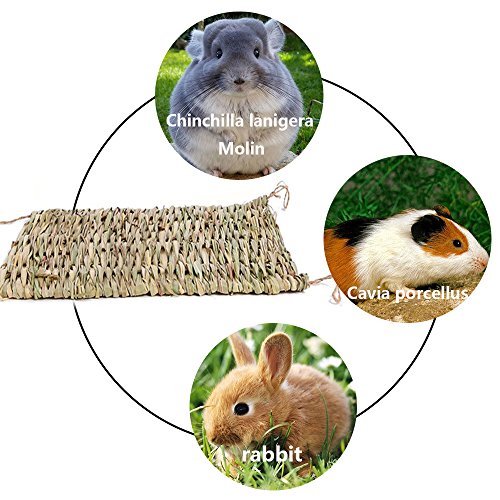 Seagrass Mat, Danlit 100 Natural Hand Woven Grass Pet Bed for Rabbits