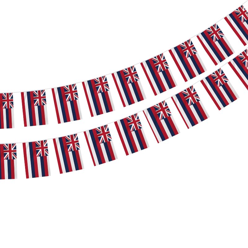 Hawaii Flag 40 Pieces Hawaii Flag, Hawaii Garland 11.4M, Hawaii Bunting, Hawaii Flag, Small Hawaii Flag, Hawaii Bunting